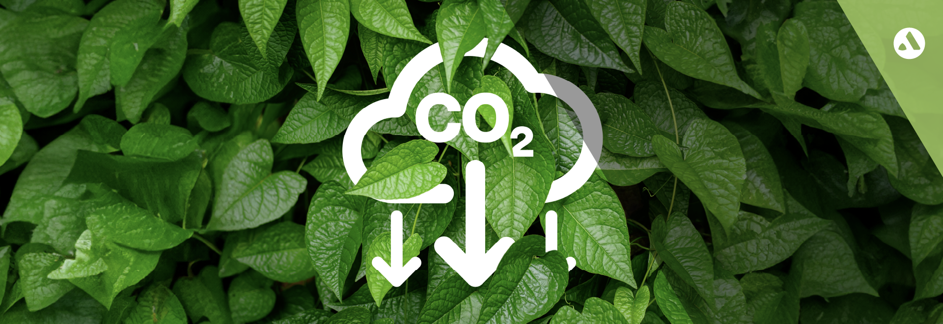 Data Management in Exploration Security, Knowledge, and Resources